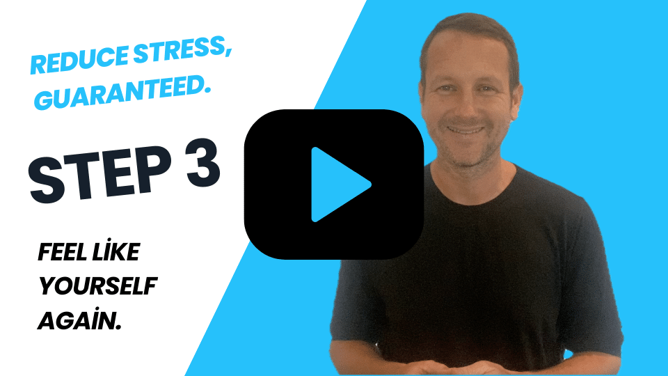 stress step 3 - The Joy Within